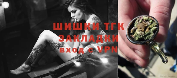 дмт Алексин