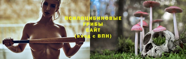 spice Алексеевка