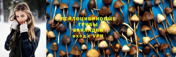 spice Алексеевка