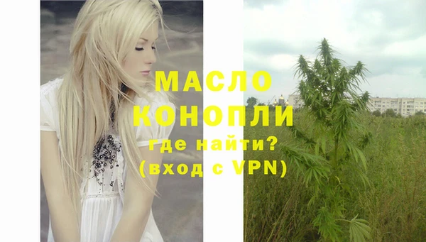 дмт Алексин