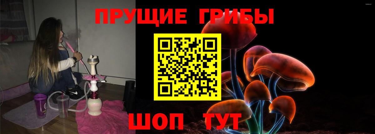 Галлюциногенные грибы Cubensis  Вход с VPN  Шахты 